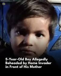 The distraught mother reportedly tried to stop the attack but was injured  in the process.