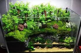 How To Make A Paludarium Aquarium Garden Aquarium Landscape Diy Aquarium Decor