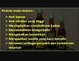 ( madu amanah rimba ) khasiat madu bawang putih untuk kesehatan, cara membuat ramuan madu campur bawang putih lanang untuk mengatasi berbagai penyakit, kegunaan madu plus bawang putih tunggal untuk sakit jantung, kolesterol, untuk obat kuat menambah stamina pria. Madu Kelulut Asli Posts Facebook