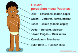 Poster Ciri Pubertas Remaja Poster Jerawat