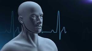 Totul despre tot youtuber overview, youtube statistics, totul despre tot, salut. Totul Despre Tot Youtube