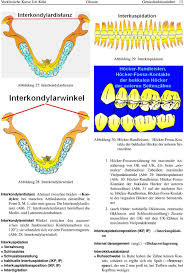 Bennett is a character in genshin impact. Illustriertes Funktionslehre Glossar Ausgabe 2 Pdf Free Download