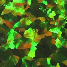 Gilson Opal - Black Opal, White Opal And Crystal Opal