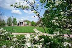Image result