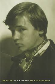 Hole in the Wall: New & Selected Poems: Pickard, Tom: 9780971005938:  Amazon.com: Books