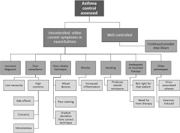 Guidance On Handheld Inhalers In Asthma And Copd Guidelines