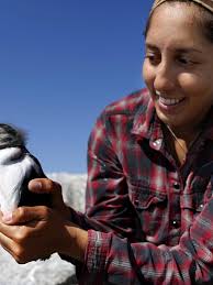 Puffin problems, Salt Lake water rights: News from around our 50 states