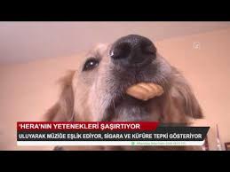 Peggymatic Pati Temizleme Cihazi Atv Ana Haber Youtube