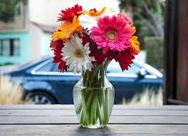 Add 1 quart warm water to a clean vase. How To Make Roses And Fresh Flowers Last Longer In A Vase Benja News