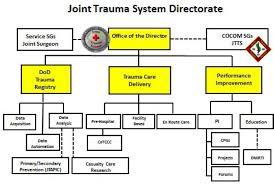 2 Overview Of Contemporary Civilian And Military Trauma