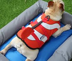 The ruffwear dog life jacket is also a very good choice when it comes to a life jacket for your english bulldog. Amazon Com Hifrenchies Dog Life Jacket Shark Swimming Vest Pet Safety Swimsuit Floatation Life Vest For French Bulldog M Clown Fish Pet Supplies