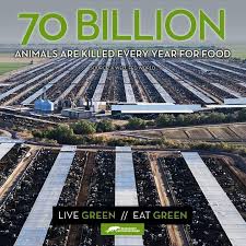 Jem Star On Twitter Reasons To Be Vegan Vegan Animals Animal Agriculture