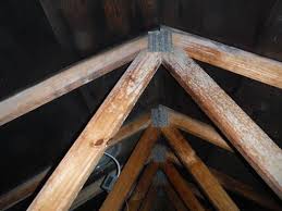 And eventually cause wood rot and reducing the life of your roof. Moisture And Mold In Attics A Cold Weather Epidemic