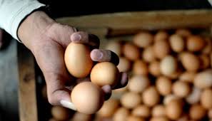 Berdasarkan informasi pada laman resmi pegadaian, harga emas 24 karat ubs ukuran terkecil yakni 0,5 gram dipatok seharga rp514.000. 100 Ton Telur Harga Rp 19 500 Per Kilo Disebar Ke 43 Pasar Bisnis Tempo Co