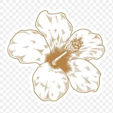 Gold and white flower sticker with a white border design element set. Gold And White Hibiscus Flower Sticker With A White Border Design Element Premium Image By Rawpixel Com A Flower Border Png White Hibiscus Hibiscus Flowers