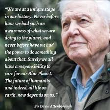 Pin by Megan Shumway