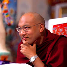 PARALLAX SNAP As a human being, I am committed to the promotion of what I  call basic human values, by which I mean especially compassion. Nurturing  the compassionate seed within us and