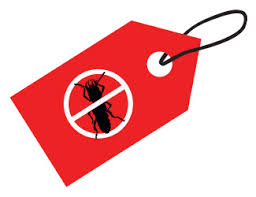You need to tell us the type of pest attack, the level of pest attack and area where you need it to be done. Pest Control Price List Central Fl Exterminators Florida Bug Men