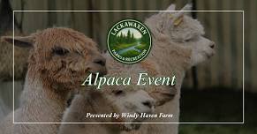 Parks & Recreation Alpacas — Lackawaxen Township