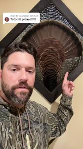 Replying to @Stephanie #jefffredrickchampionschoice #turkeyfeatherart  #taxidermy #wildturkey #featherart