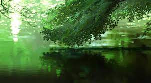 The best gifs are on giphy. Aesthetic Green Background Gif Largest Wallpaper Portal
