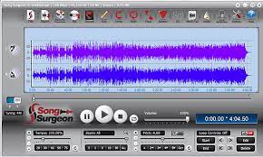 Users need professional software to successfully perform these complex operations. Music Transcription Transcribe Songs Song Surgeon
