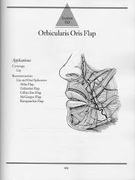 If the commissure is involved, both the karapandzic and estlander flaps may be used. 5d Orbicularis Oris Flap Pdf