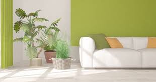 Si las usas… ¡que sean colgantes! 9 Plantas De Interior Que Debes Conocer Para Decorar Tus Espacios Mejor Con Salud