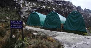 Private tour budget lodge & guest house you visit: Summit The Scenic Rwenzori Mountains By Uzuri Uganda Safaris Tourradar