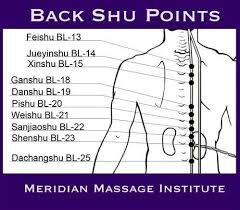 Back Shu Points Acupuncture Meridian Massage Acupressure