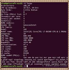 Linux Find If Processor (CPU) is 64 bit / 32 bit [long mode ~ lm] - nixCraft