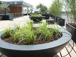 pin van m w op tuin en terras in 2020 tuin en terras dakterras tuin ideeen
