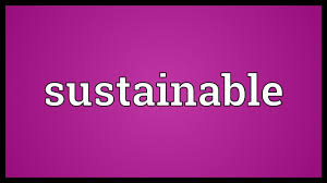 Sustainable Meaning Youtube