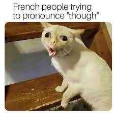Pin On Funny