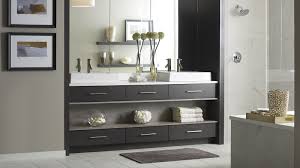 Modern Walnut Bathroom Vanity Omega Cabinetry