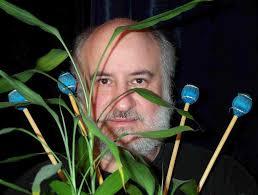 Ancient rock music of the dunes comes to life