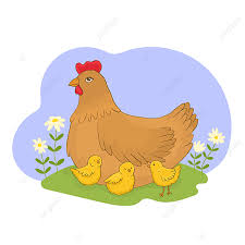 Download now kartun ayam berkokok ladang haiwan kartun fail png dan. Gambar Anak Ayam
