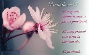 Atâtea felicitări încât să ai. Mesaje Si FelicitÄƒri De 8 Martie Cele Mai Frumoase UrÄƒri De Ziua Femeii