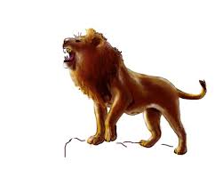 Get the markers here =. How To Draw Lion Easy Step By Step Lion Drawing For Kids