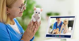 Chewy Is Bringing Telehealth to Pets With a New Virtual Vet Consultation  Service