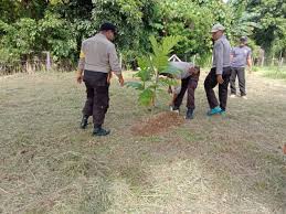 Buah ceri memiliki banyak kandungan dan manfaat yang banyak, seperti membantu meredakan sakit kepala, menyembuhkan gejala flu, diabetes dan juga bisa dijadikan untuk obat anti peradangan. 38 Jenis Bibit Pohon Buah Buahan Ditanam Di Polsek Nabire Kumparan Com