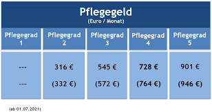 Beispiel für die berechnung des pflegegeldes. Pflegegeld 2020 Tabelle