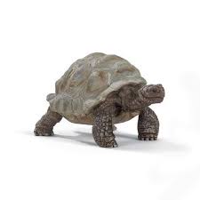 Seule différence avec la position de l'alignement parfait : Figurine Tortue Geante Truffaut
