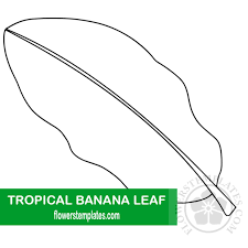 Free collection free printable leaf template free printable. Tropical Banana Leaf Template Flowers Templates