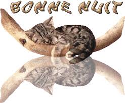 BONNE NUIT avec que des chats