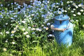 Pin By Robin Johnson On Ideas For The House Blue Garden Garden Mum Garden