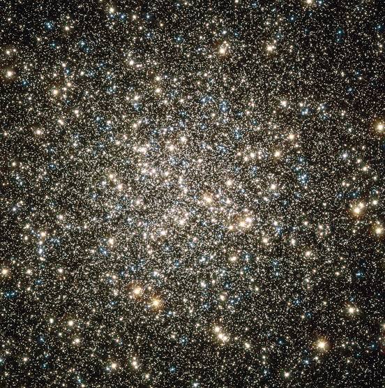 ​A Teoria da Floresta Negra: Por que o universo pode ser um lugar aterrorizante