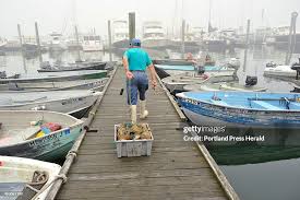 Bob Greenleaf takes bait out to his lobster boat off the town dock in...  News Photo