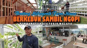 Penetapan hari jadi jakarta tanggal 22 juni oleh sudiro , wali kota jakarta, pada tahun 1956 adalah berdasarkan pendudukan pelabuhan sunda kalapa oleh fatahillah pada tahun 1527. Berkebun Sambil Ngopi Di Benteng Hidroponik Farm House Tasikmalaya Youtube