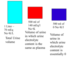 10 03 Water Balance 10 3 Flashcards Memorang